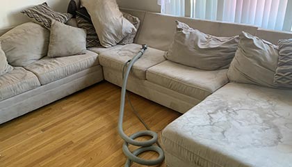 Upholstery Cleaning Service in Odenton