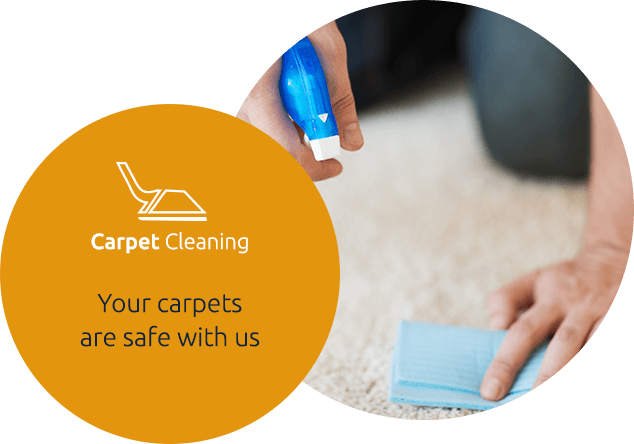 Carpet Deep Steam Cleaning Service Odenton, MD