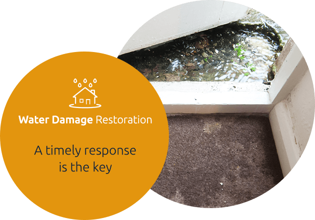 Water Damage Restoration Service